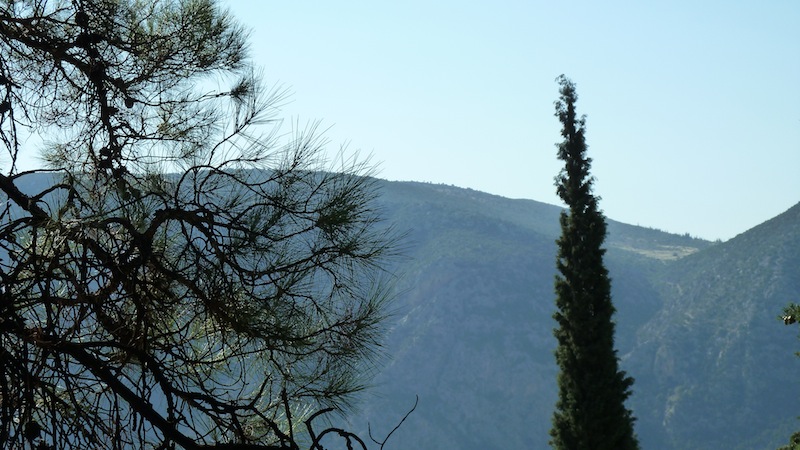 Delphi 2.JPG